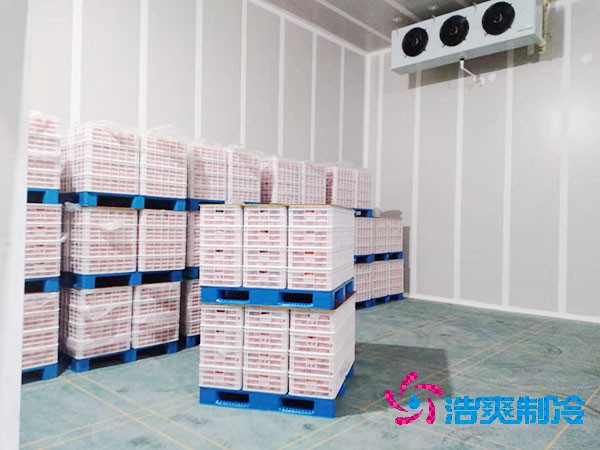 小型冷庫造價預算