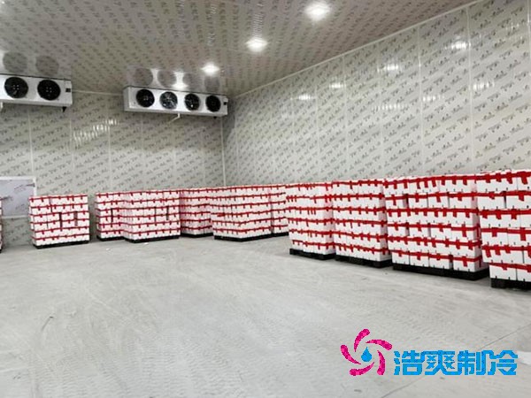 小型冷庫造價預算